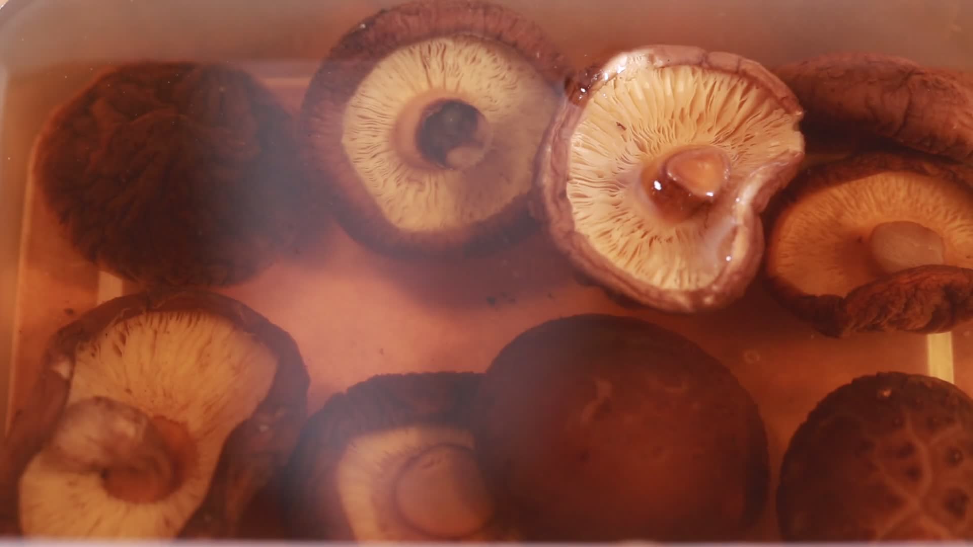 实拍厨师水发香菇视频的预览图