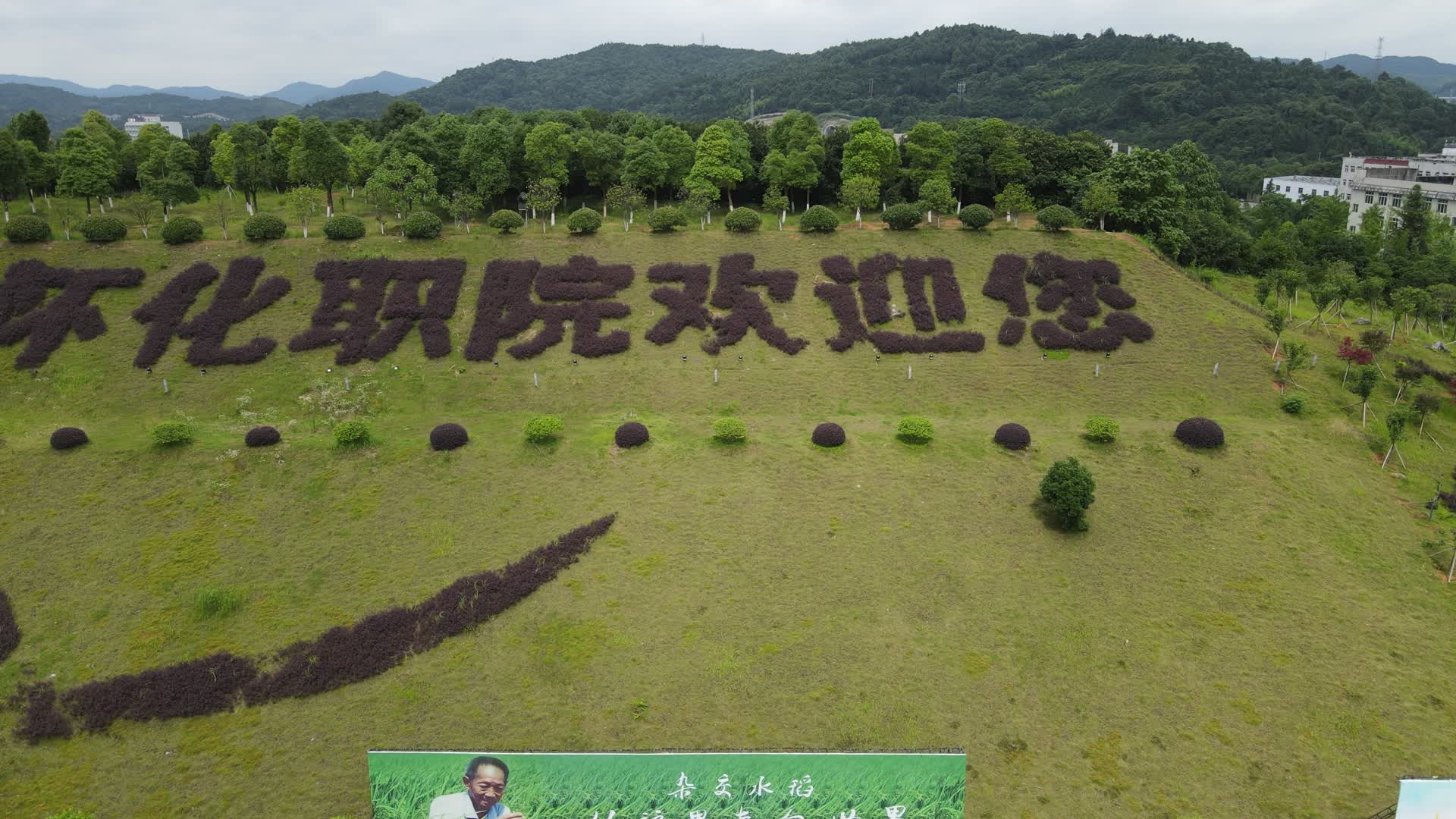 航拍世界水稻发源地湖南怀化职业技术学院视频的预览图