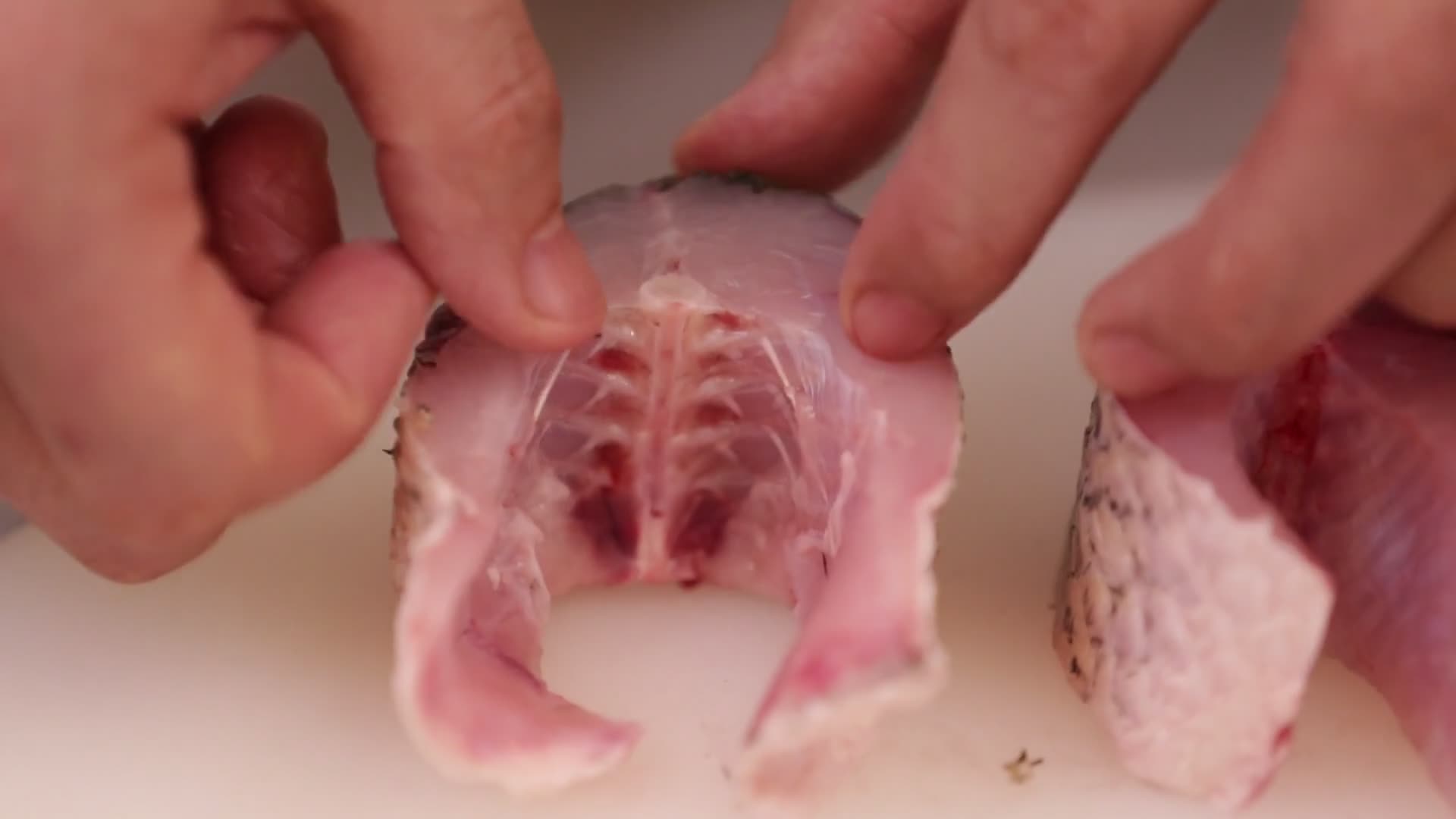 鱼肉块视频的预览图