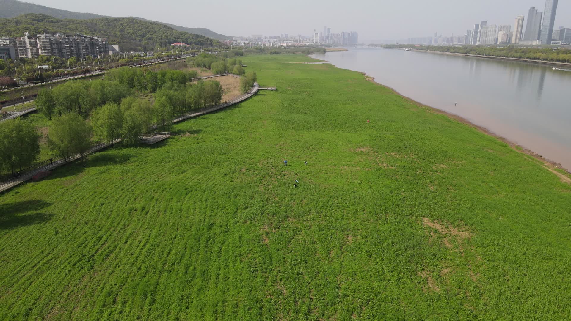 航拍湖南长沙湘江绿色草地视频的预览图