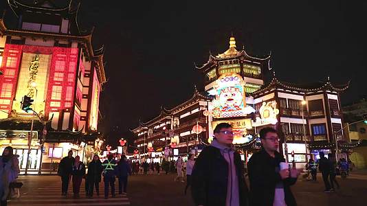 上海豫园夜晚街道人流延时摄影视频的预览图