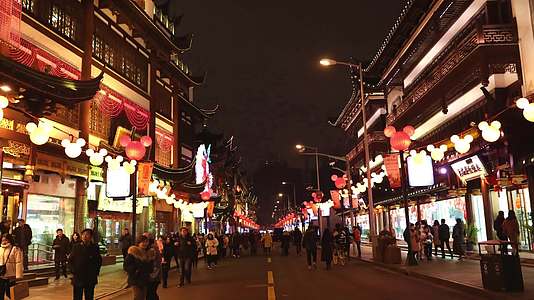 上海豫园灯会街道人流延时摄影视频的预览图