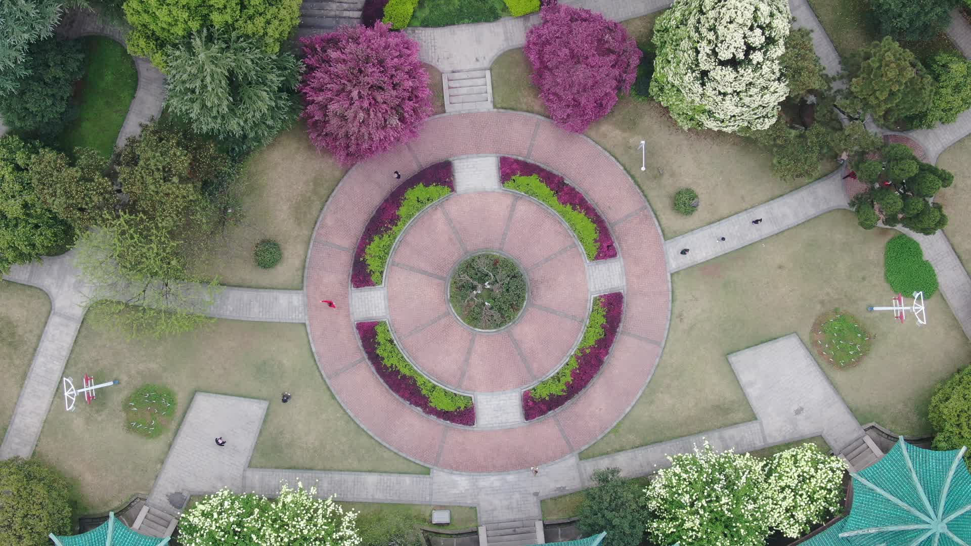 俯拍城市公园春色满园视频的预览图