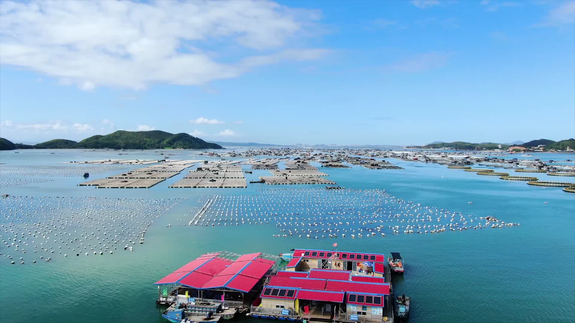 4K航拍福建漳州东山岛鱼排视频的预览图
