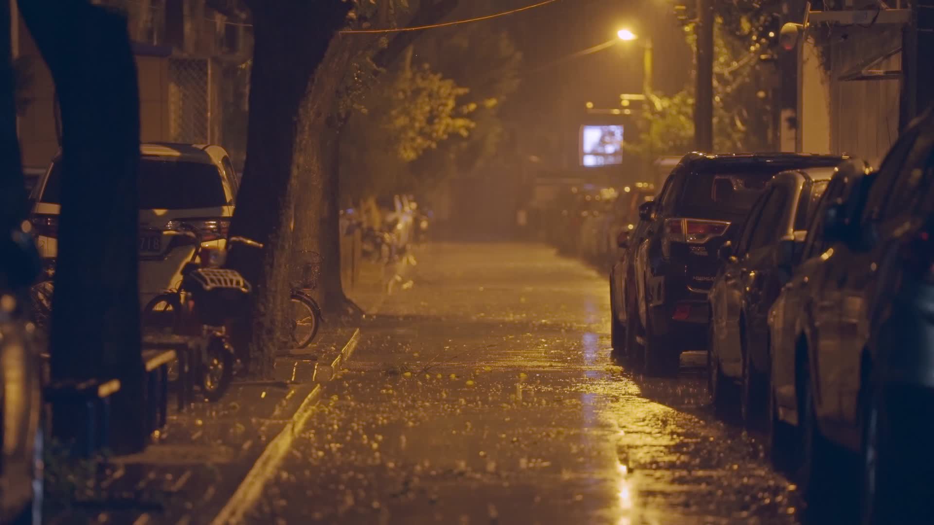 路灯照亮雨夜的小区道路视频的预览图