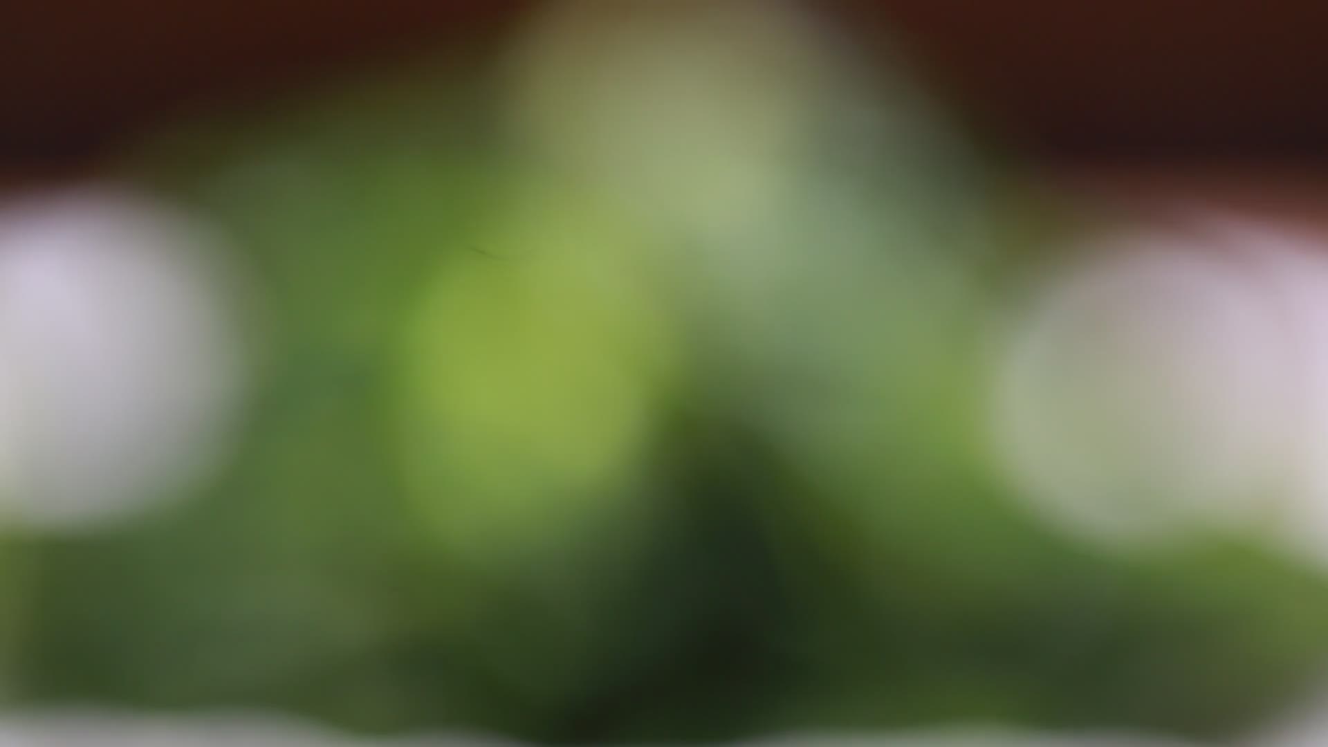凉拌芹菜叶纤维视频的预览图