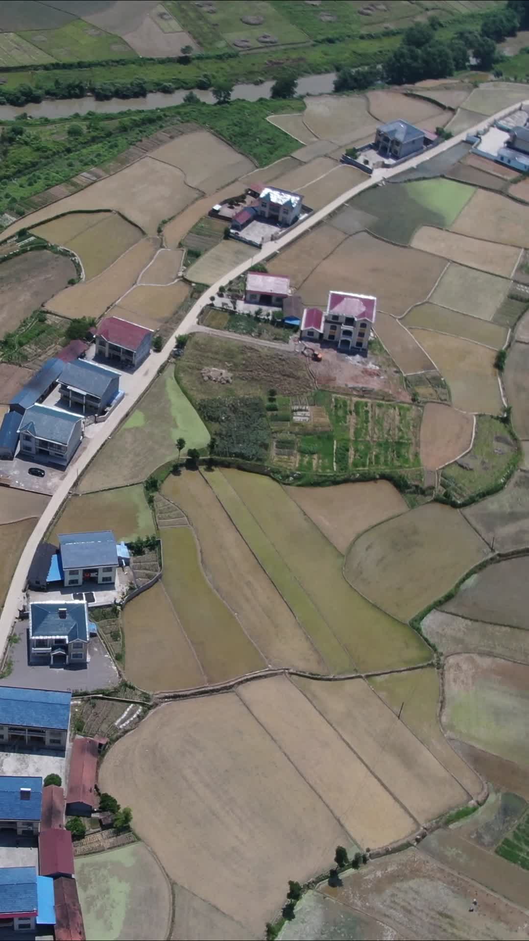 航拍田园乡村竖屏视频视频的预览图
