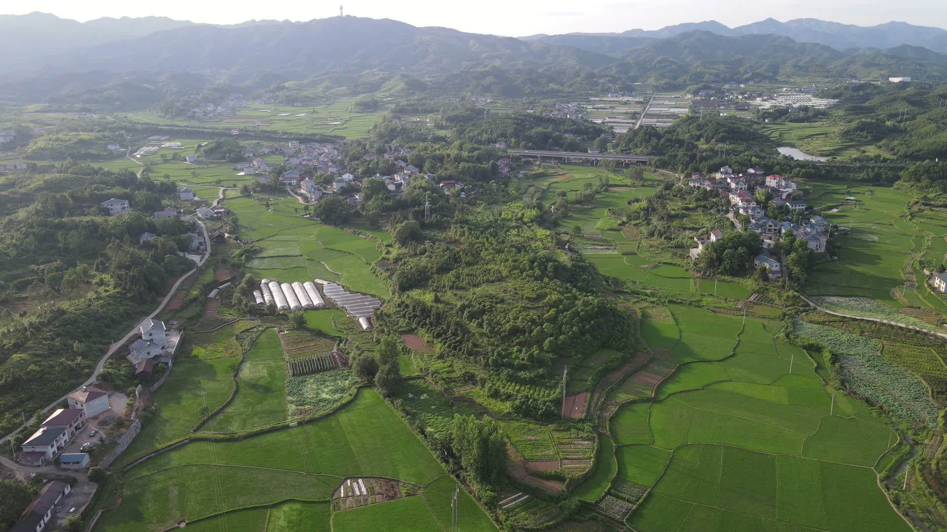 航拍绿色田园农业水稻种植基地视频的预览图