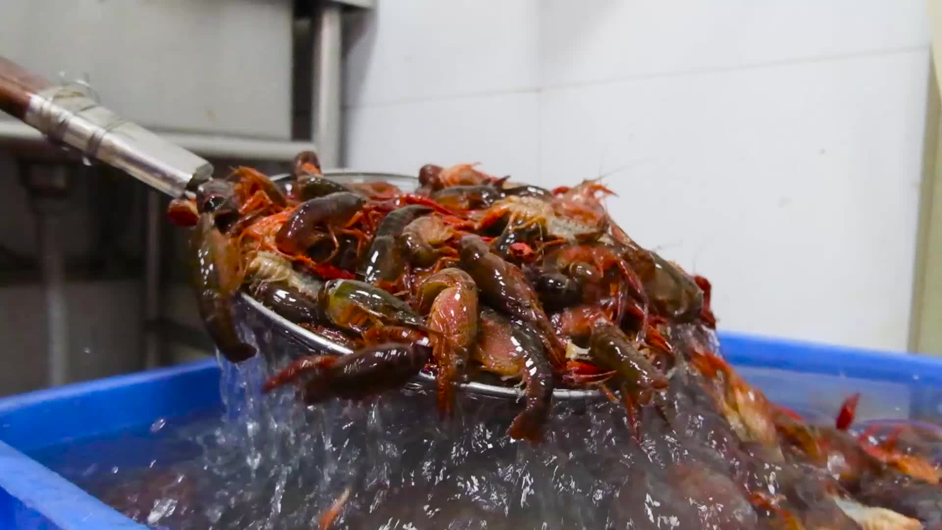 海鲜市场批发鲜活小龙虾视频的预览图