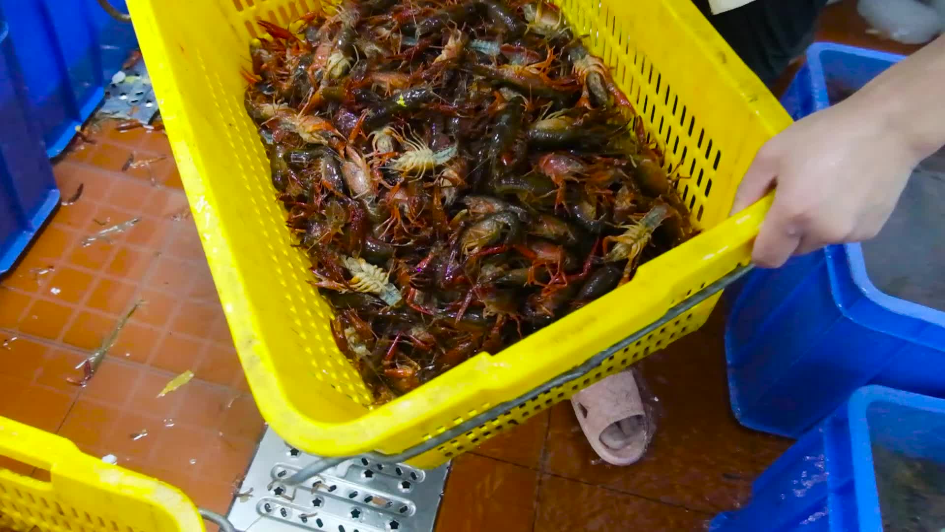 海鲜市场批发鲜活小龙虾视频的预览图