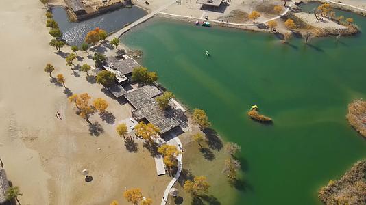秋天的新疆罗布人村寨视频的预览图