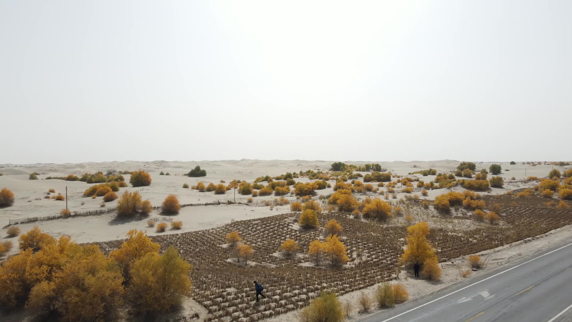 新疆沙漠公路航拍视频的预览图