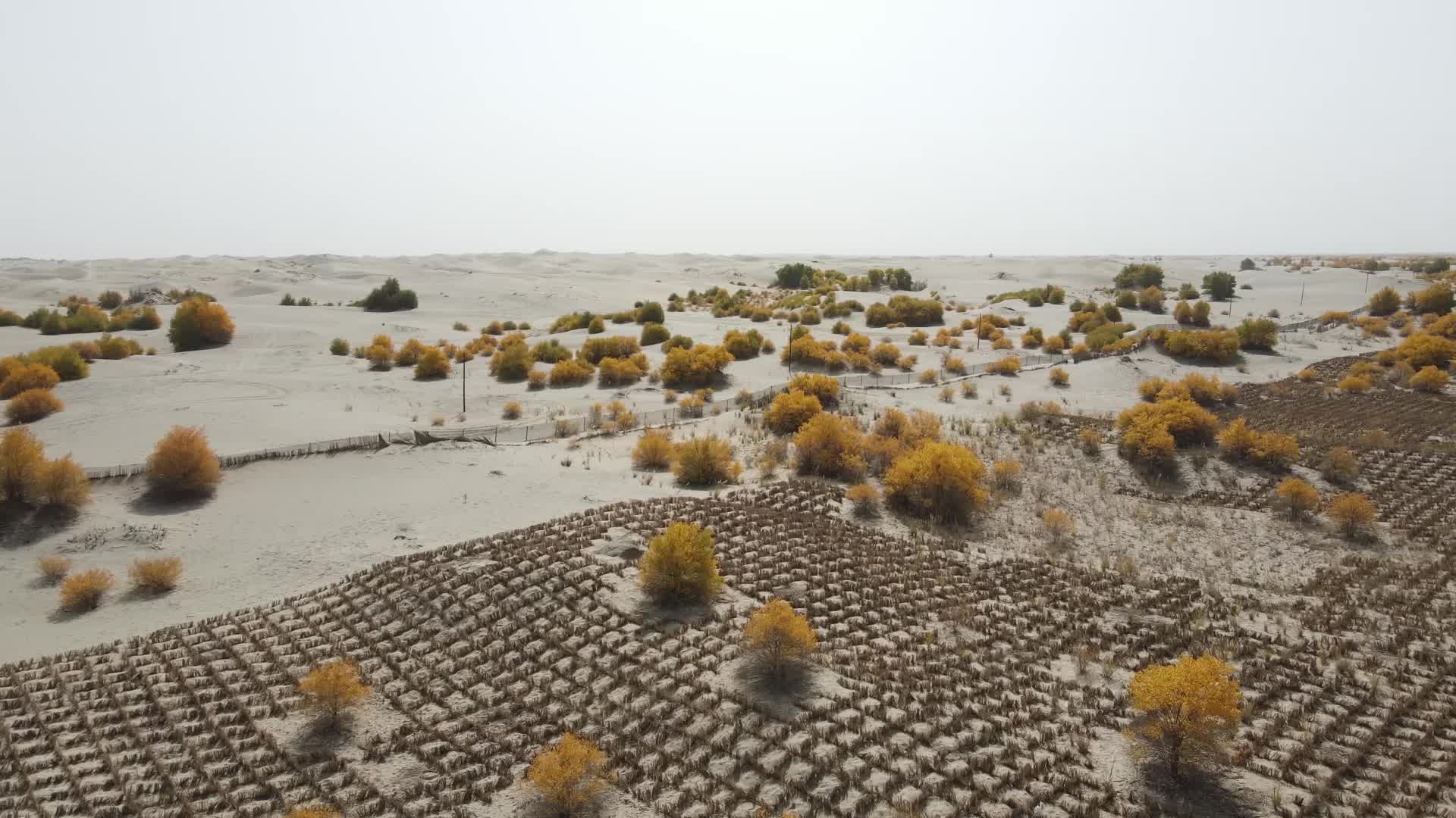 新疆沙漠公路航拍视频的预览图