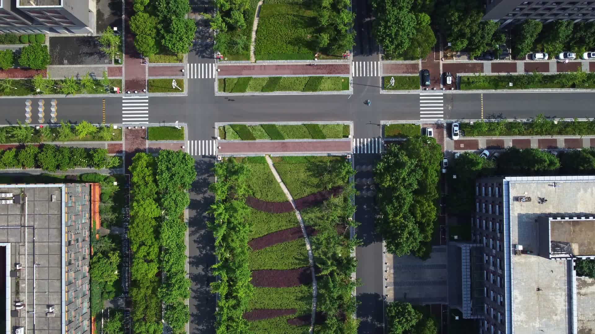 南京大学仙林校区航拍4K视频的预览图