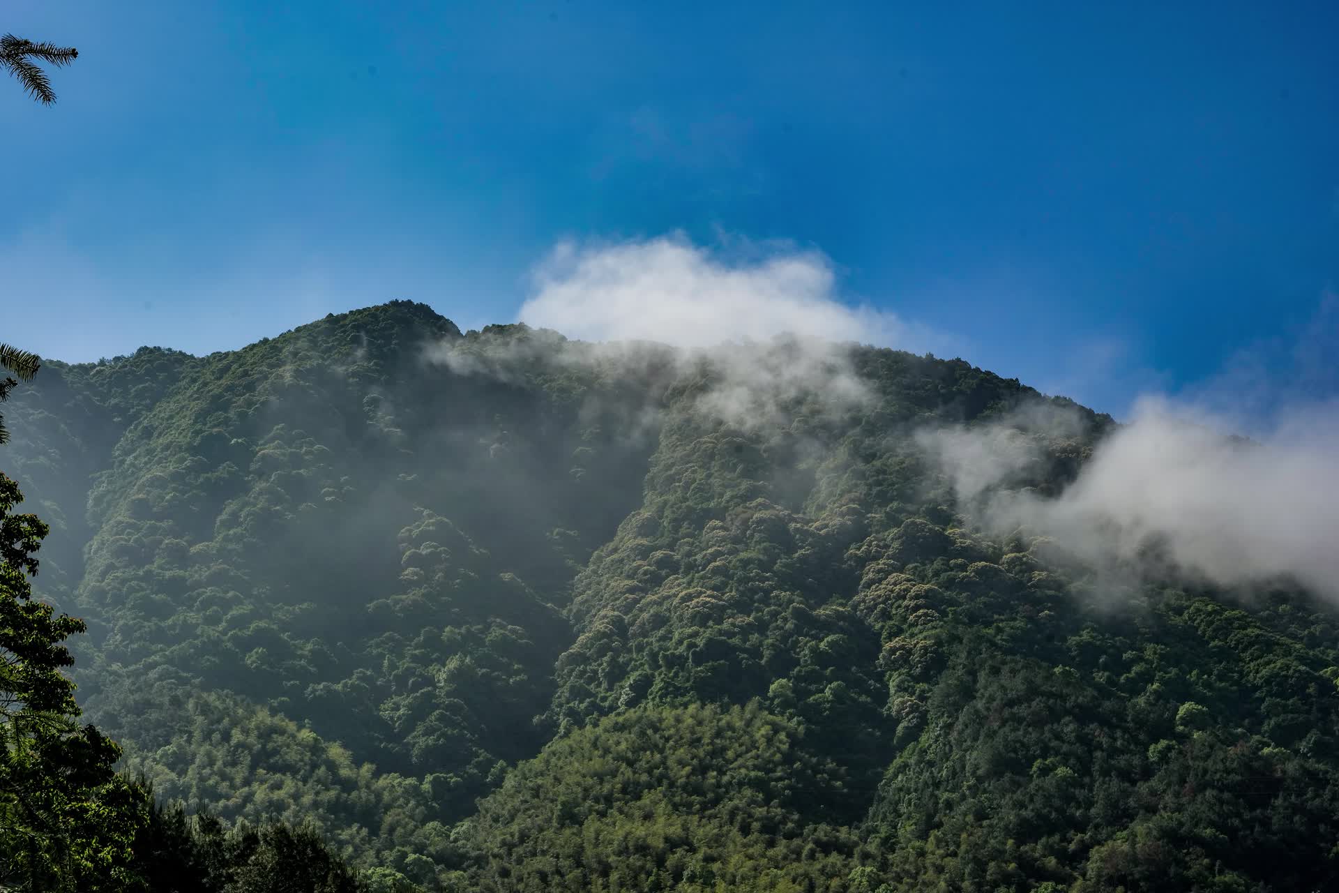 山与雾延时视频的预览图
