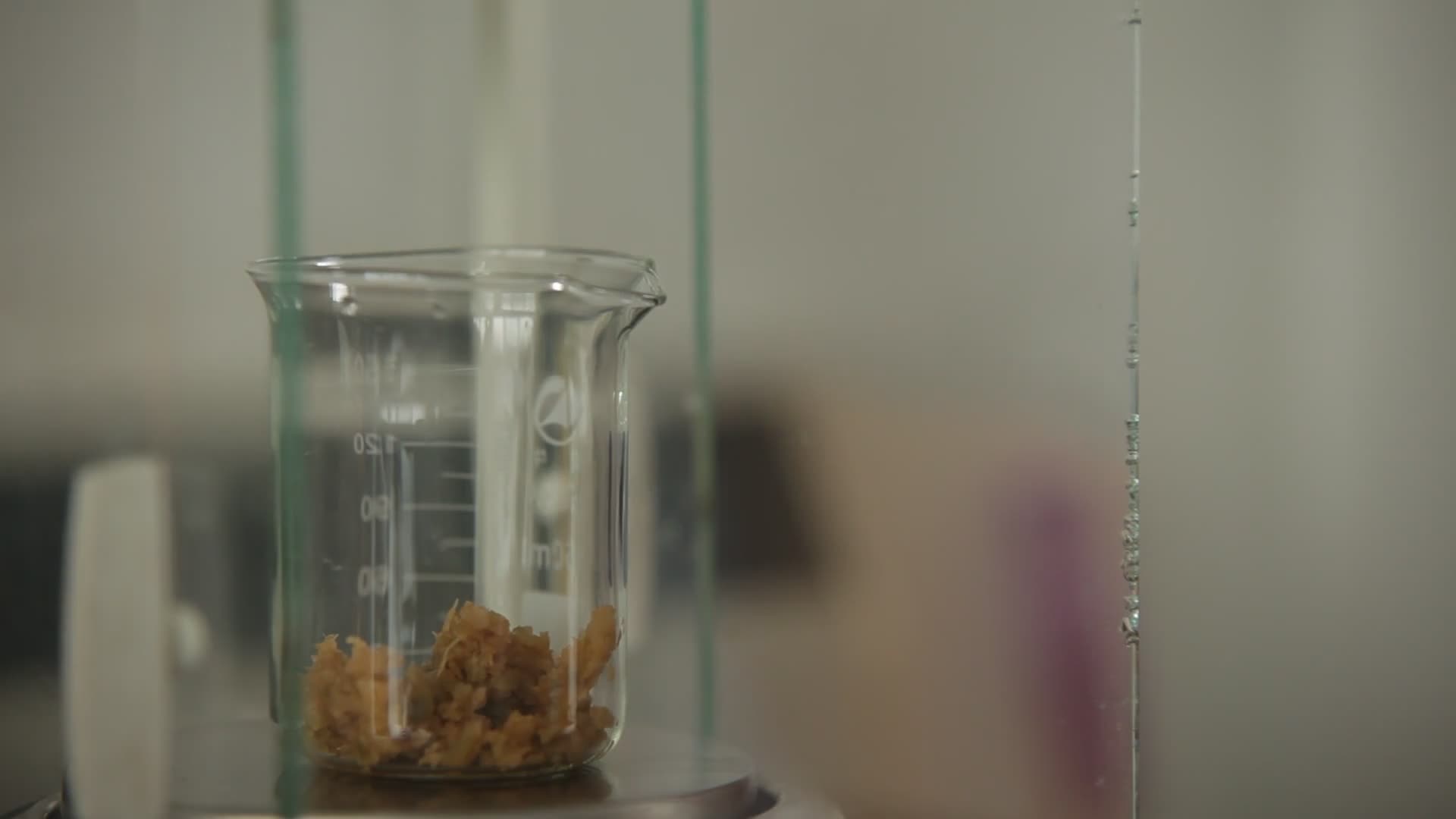 实验室检测榨菜亚硝酸盐视频的预览图