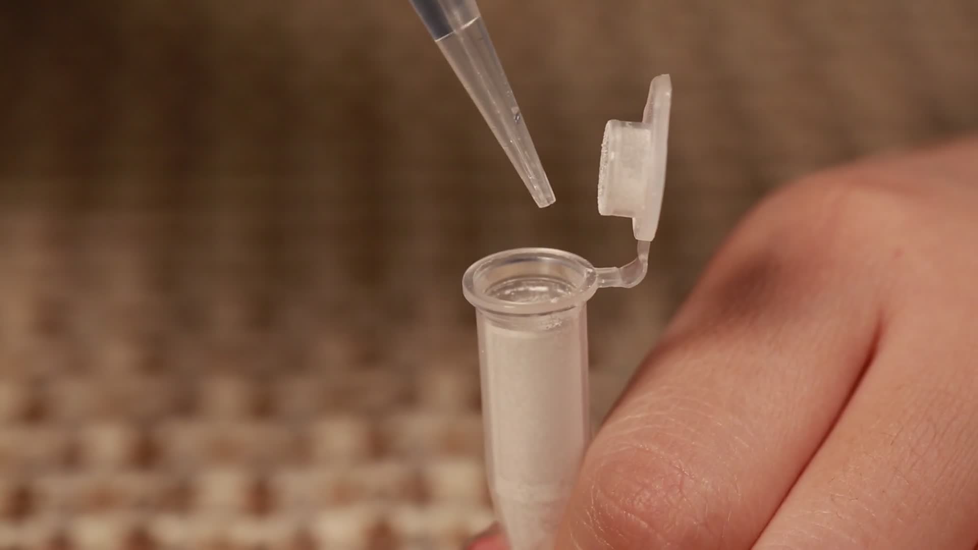 咸菜亚硝酸盐含量检测试剂视频的预览图
