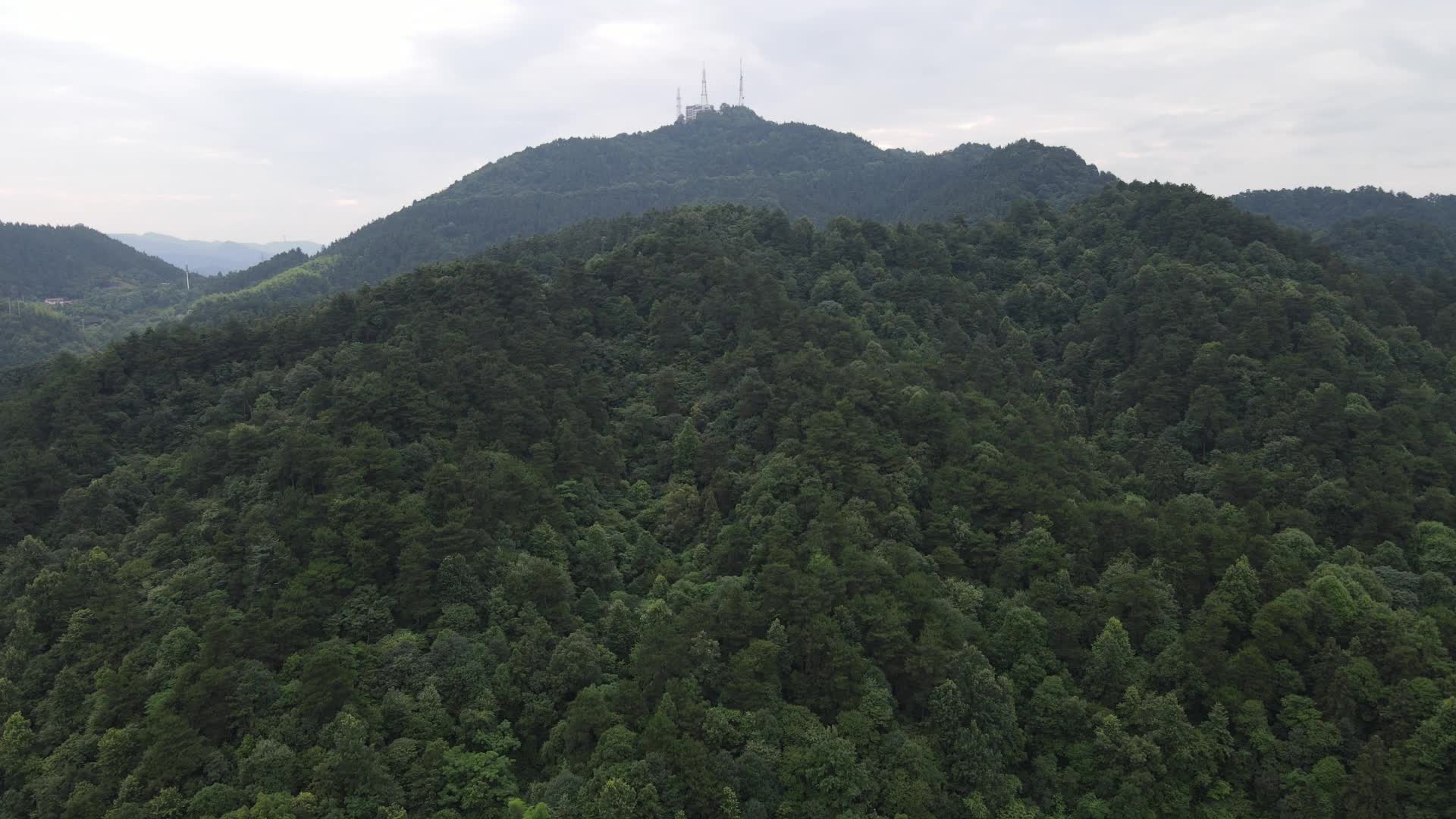 航拍绿色森林植物视频的预览图