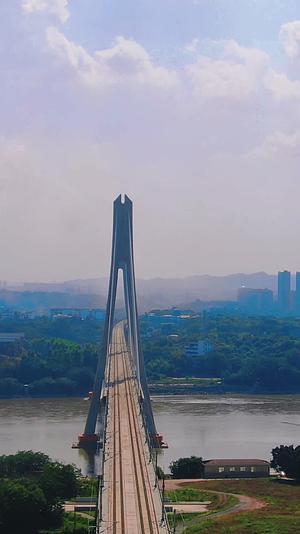 航拍江西赣州特大桥交通竖屏视频视频的预览图