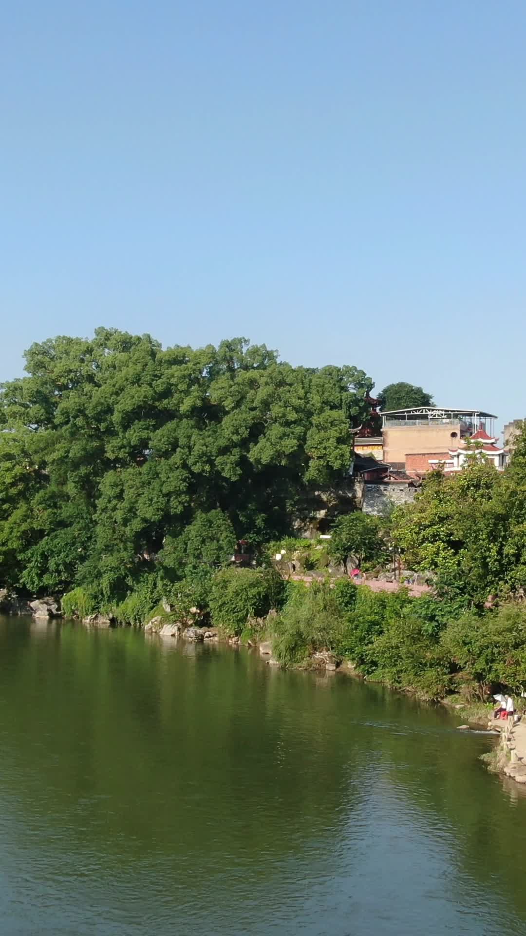 航拍福建汀州古城河流视频的预览图