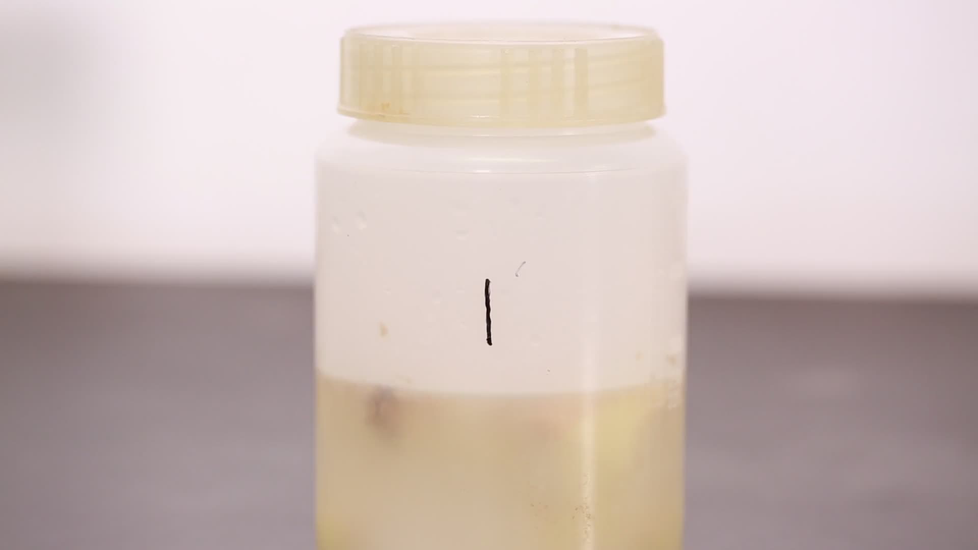 生姜发霉采样细菌检测视频的预览图