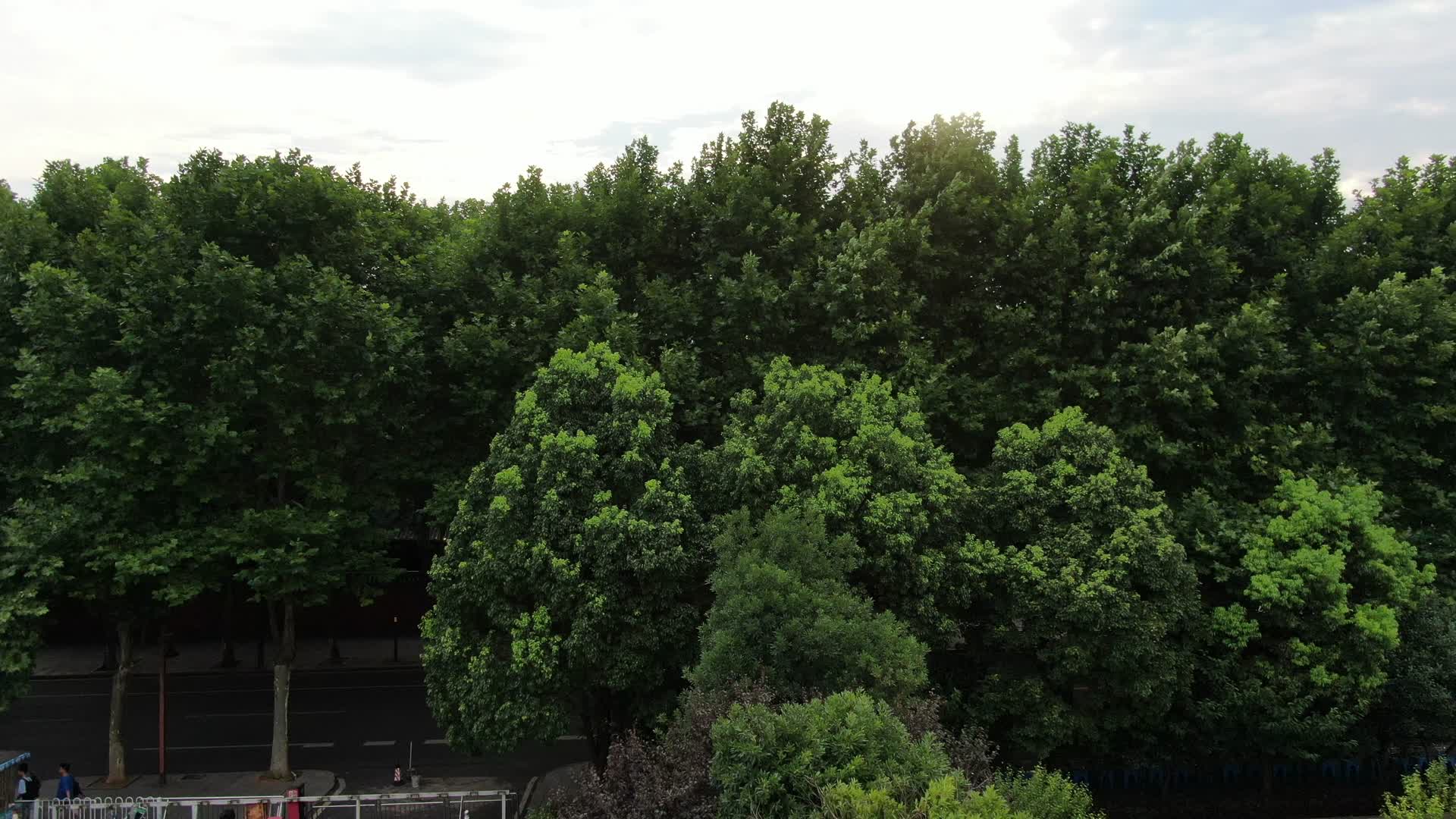 航拍湖南岳阳岳阳楼5A景区视频的预览图