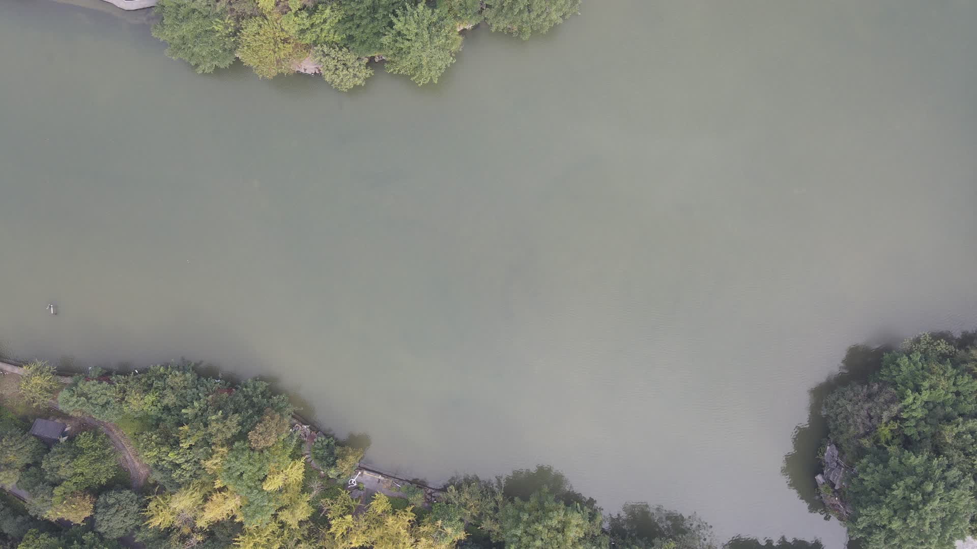 航拍广西桂林两江四湖5A景区榕湖视频的预览图