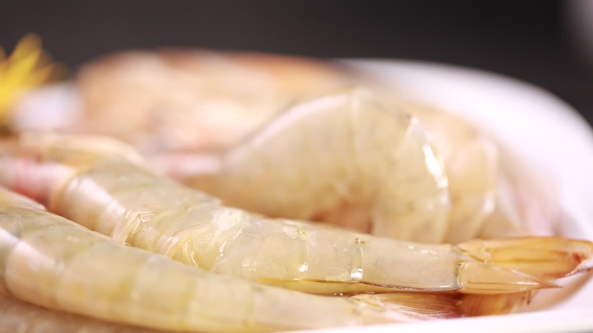 大虾海白虾海鲜视频的预览图
