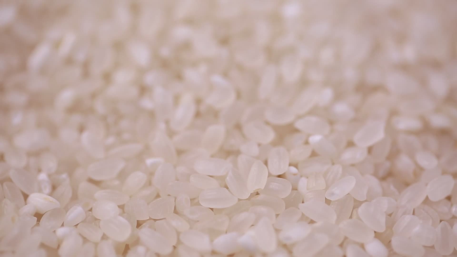 各种大米水稻视频的预览图