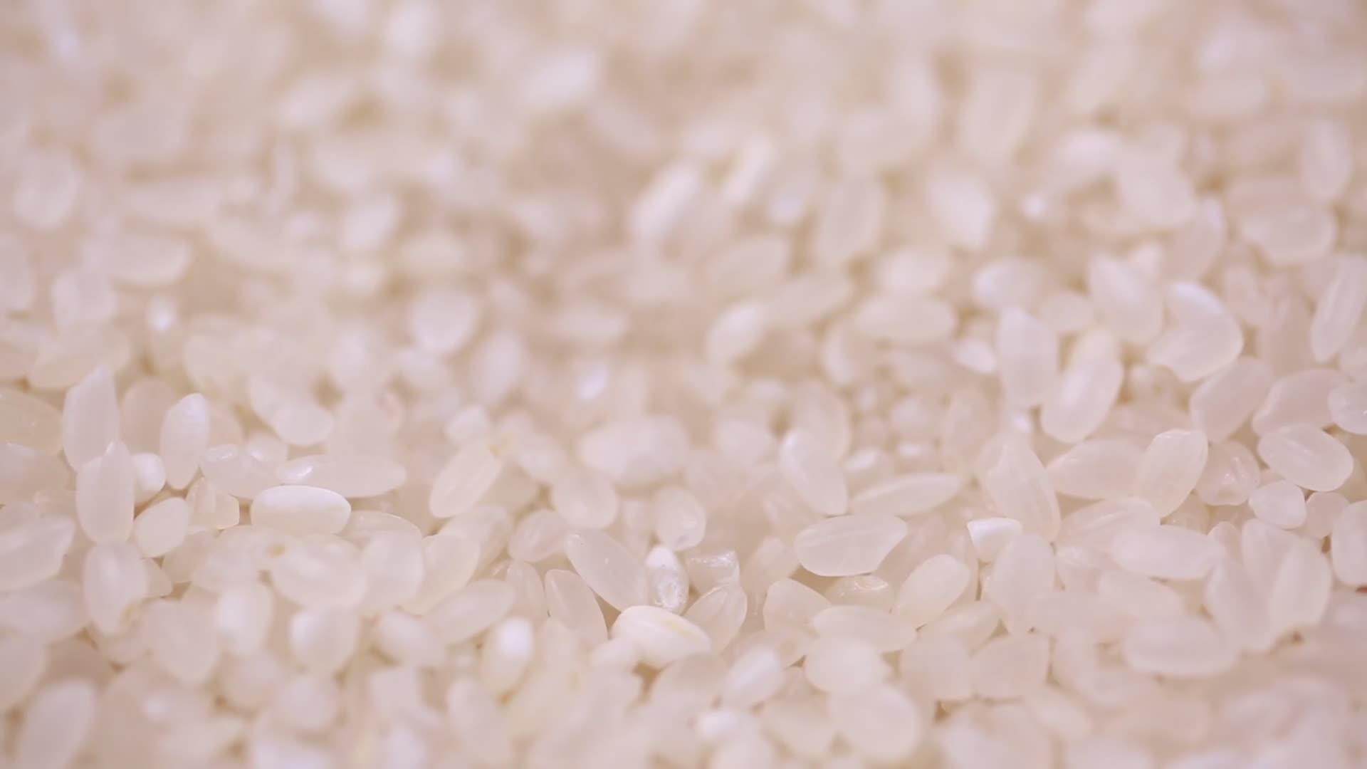 各种大米水稻视频的预览图