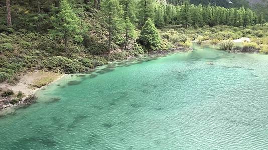 实拍森林清澈湖泊视频的预览图