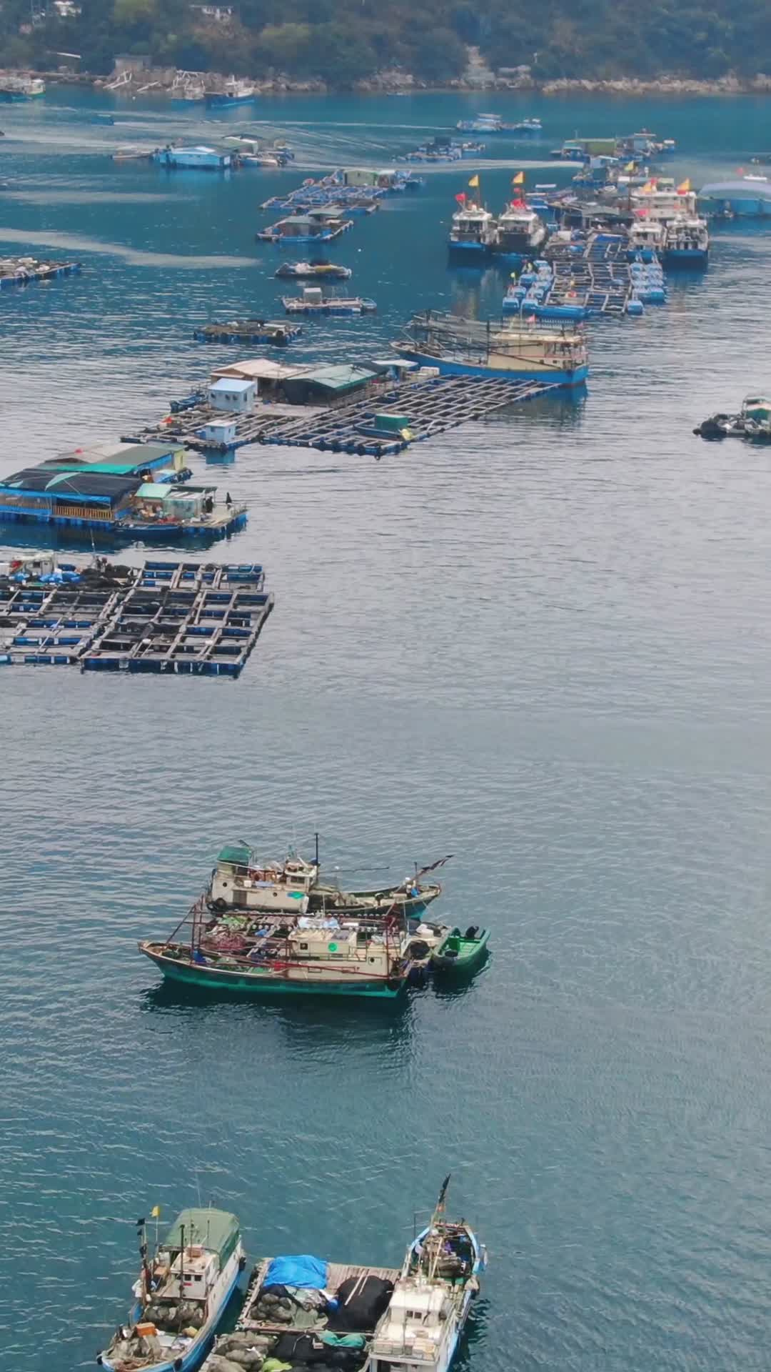 航拍海上海鲜养殖基地竖屏视频视频的预览图