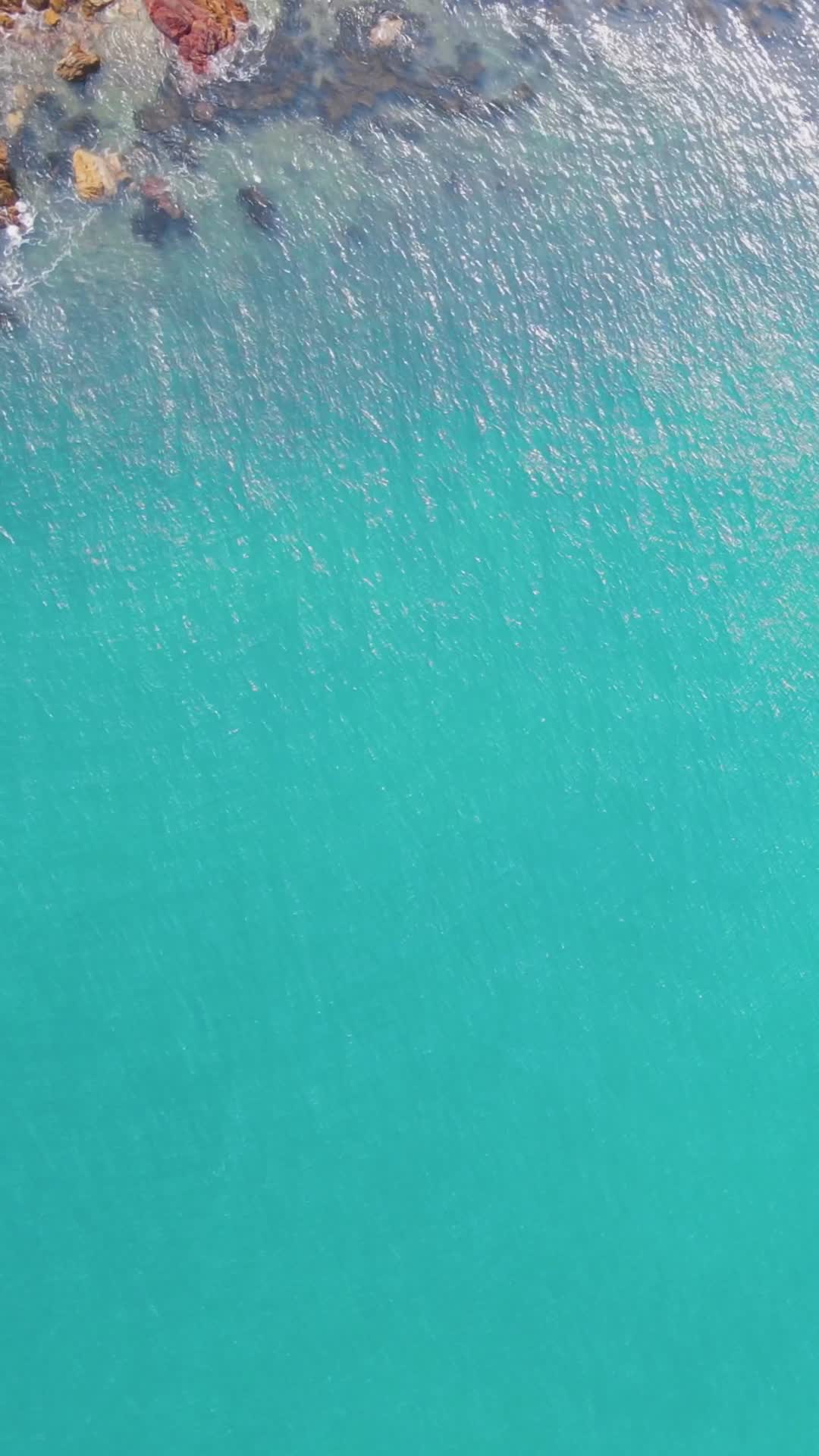 航拍夏日蓝色大海自然风光竖屏视频视频的预览图