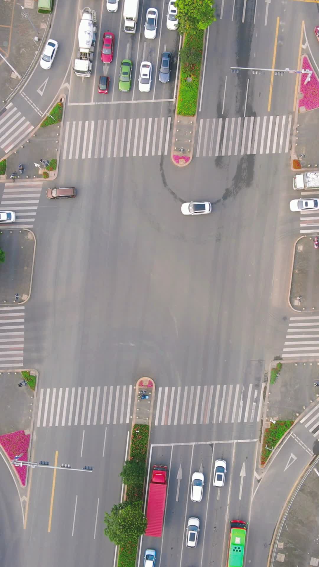 航拍深圳城市大道交通竖屏视频视频的预览图
