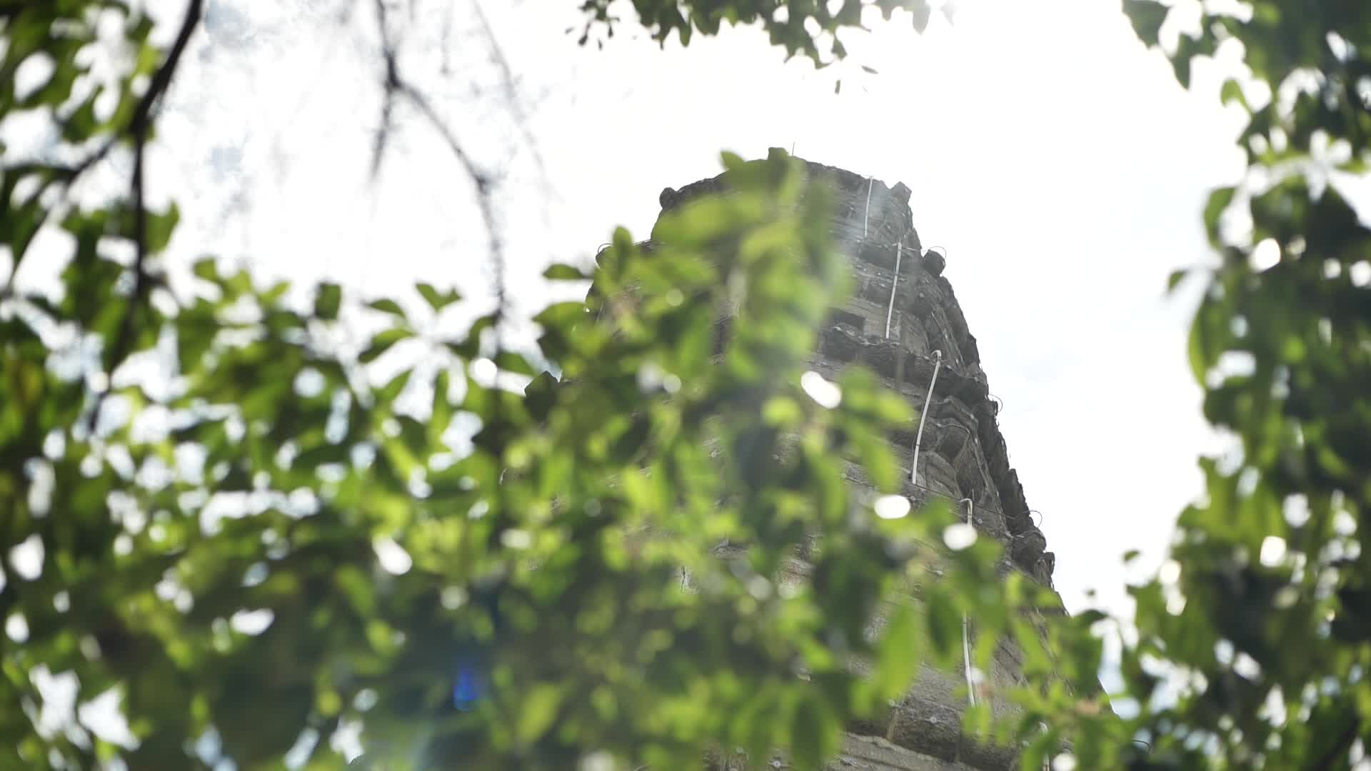 福建宁德树前的塔阳光光线视频的预览图