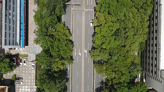 俯拍城市大道交通视频的预览图
