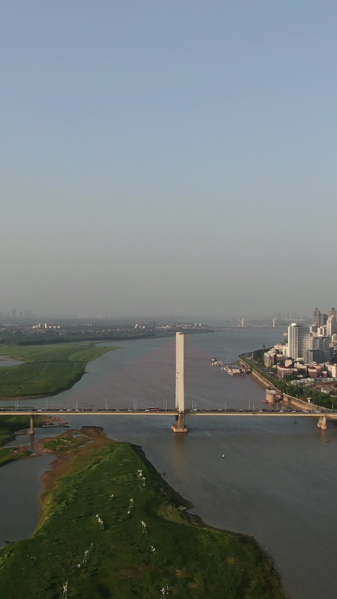 航拍江西南昌赣江八一大桥竖屏视频视频的预览图
