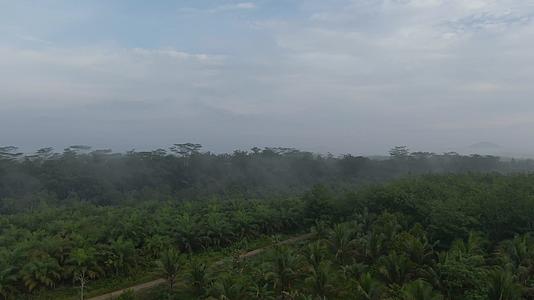 航拍4K东南亚原始森林视频视频的预览图