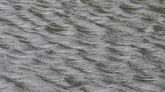 大风中河流水面上的波浪视频的预览图