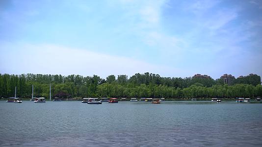 公园春游湖中游玩视频的预览图