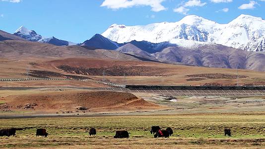 西藏念青唐古拉山视频的预览图