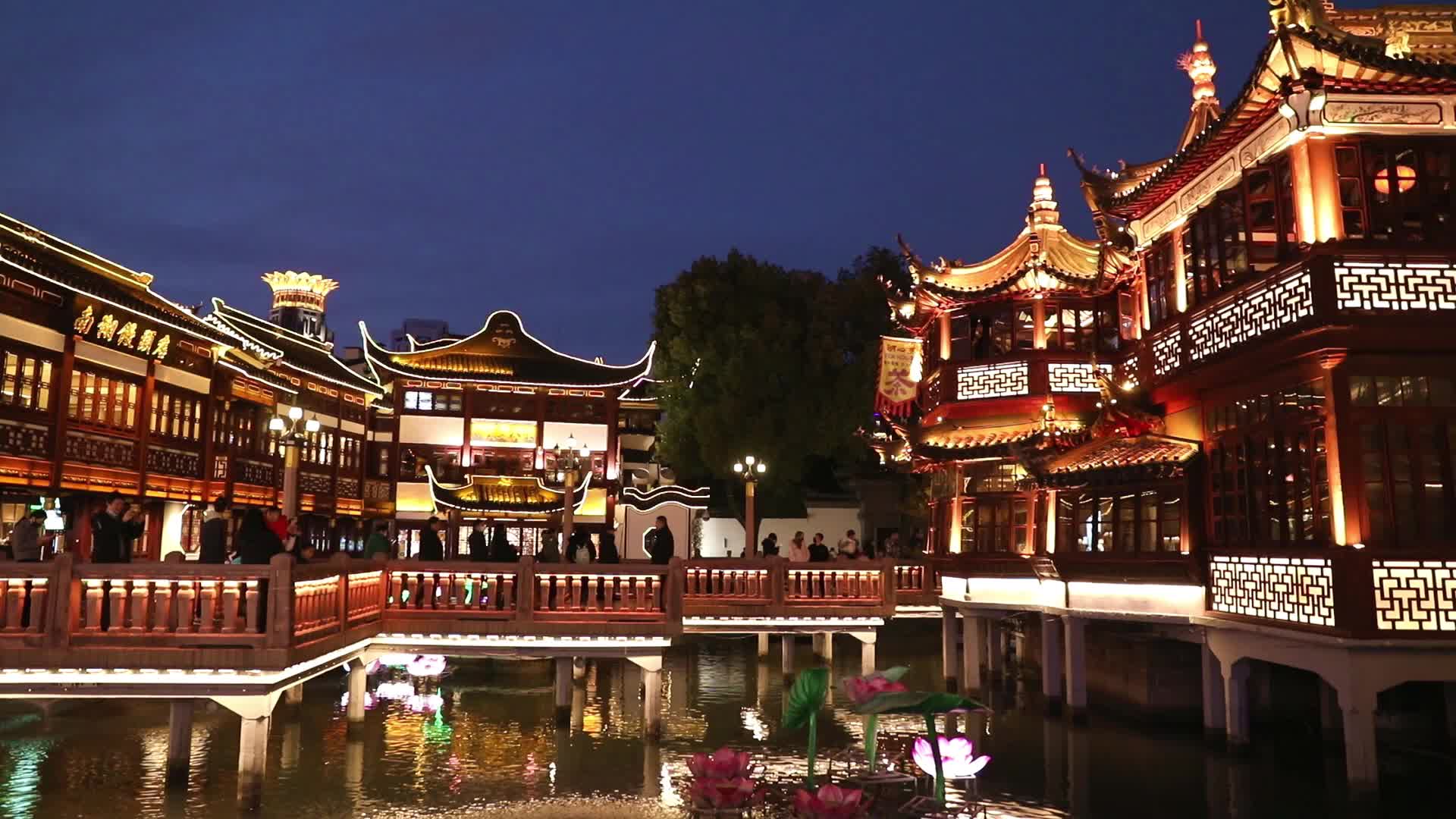 上海豫园中国古典建筑夜景视频的预览图
