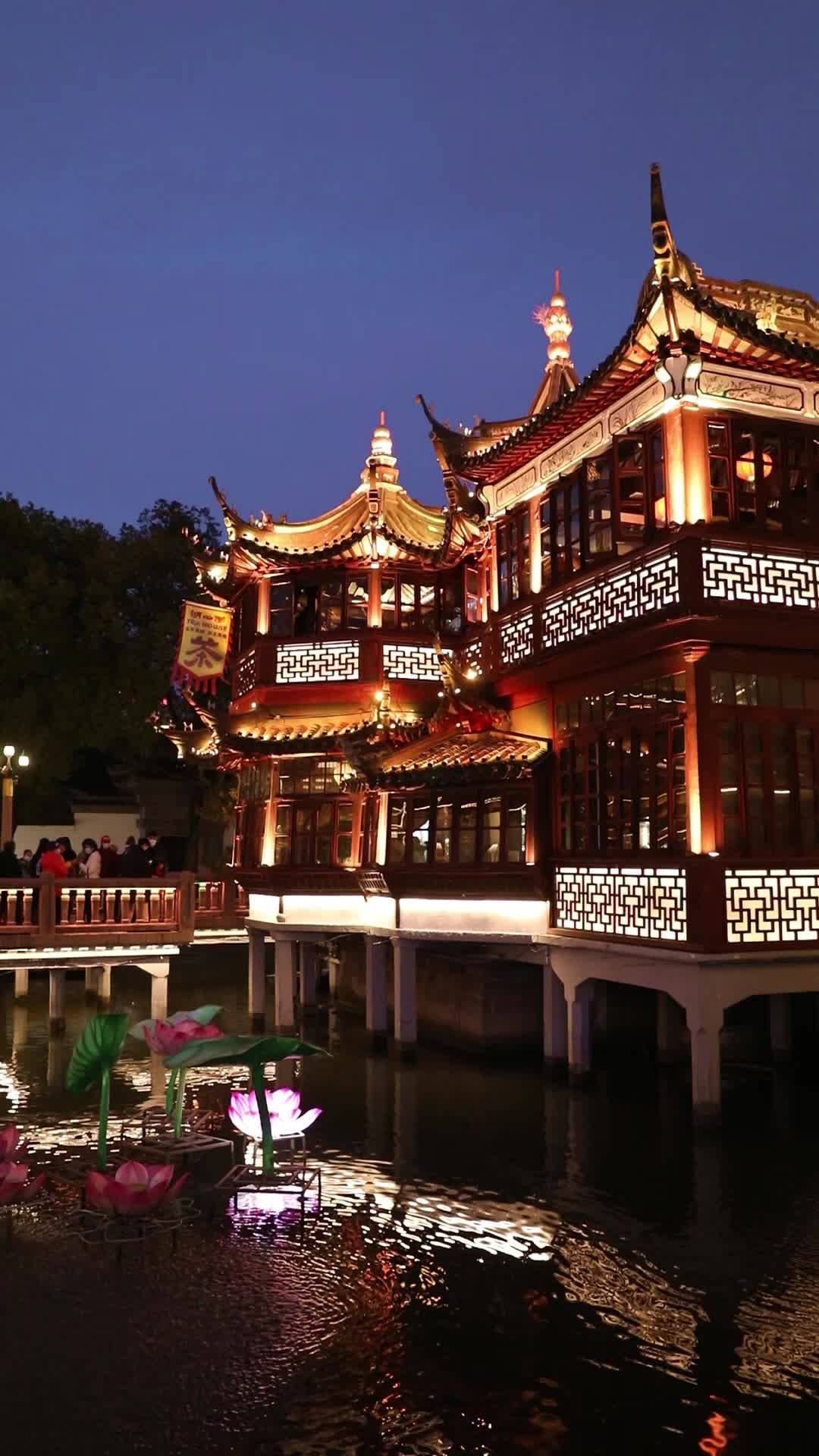 上海豫园中国古典建筑夜景视频的预览图