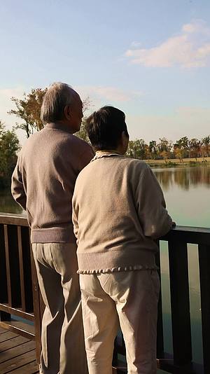 黄昏夕阳下在湖边看风景的老年夫妻背影视频的预览图