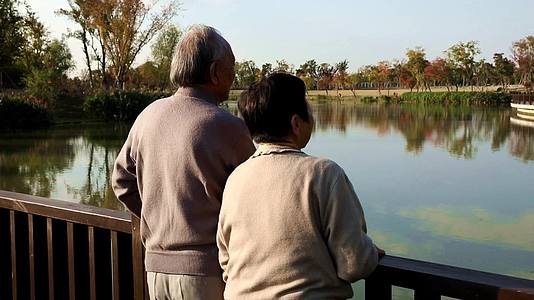 黄昏夕阳下在湖边看风景的老年夫妻背影视频的预览图