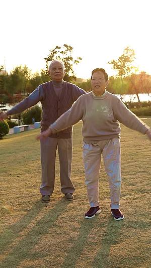 在户外公园运动锻炼的老年夫妻视频的预览图