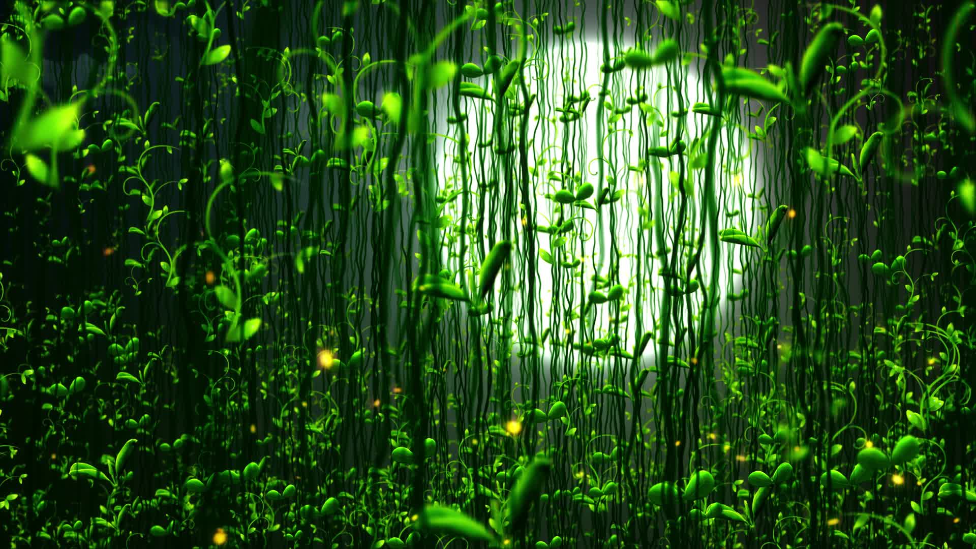 春绿色藤蔓生长动画素材视频的预览图
