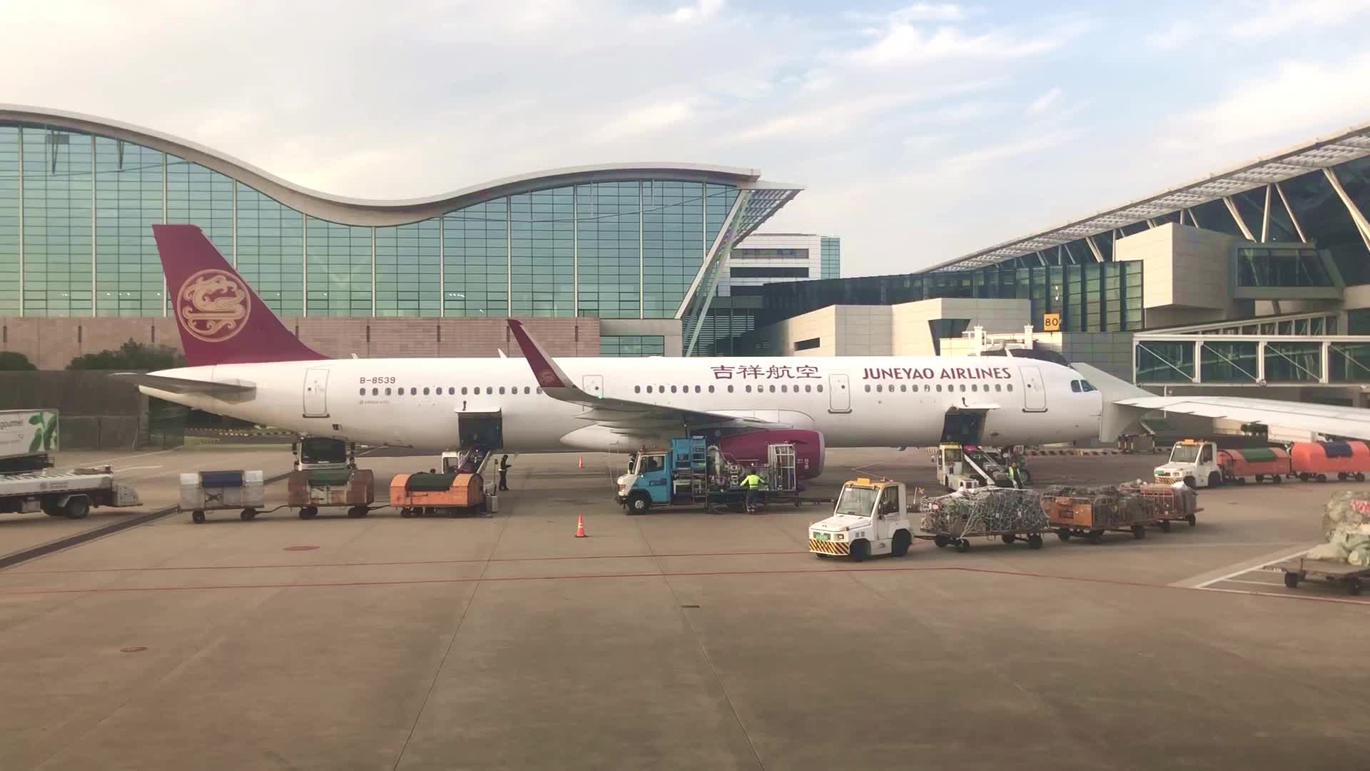 上海浦东国际机场停机坪的飞机视频的预览图