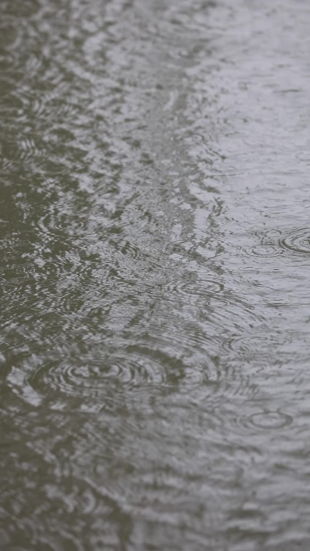 下雨天雨滴落在河流水面上视频的预览图