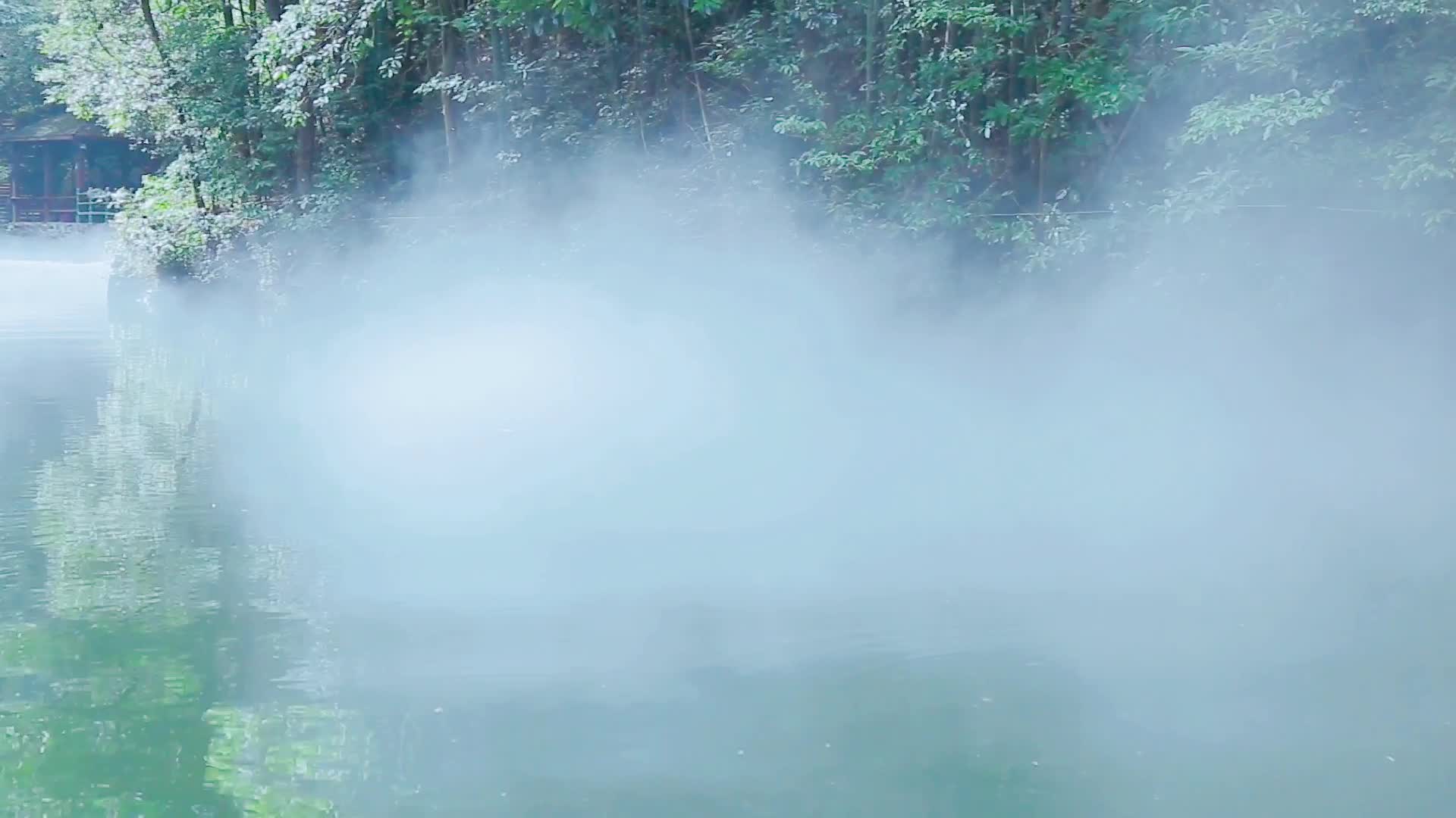 有雾的湖面视频的预览图
